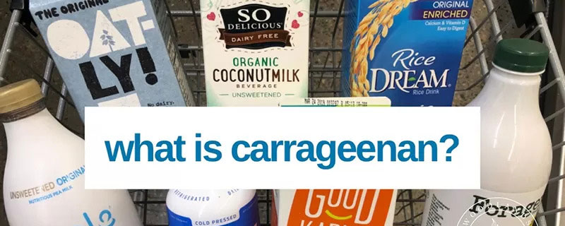 What is Carrageenan?